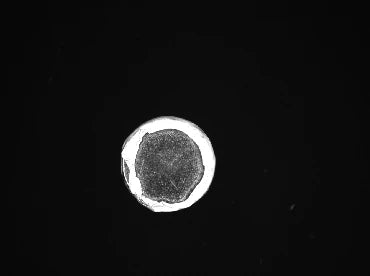 Source white-ring capture: a bright annular wrap/rim region surrounds a darker centre.