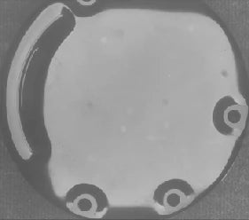 Revised white flat dome: the captured surface has a more even appearance.