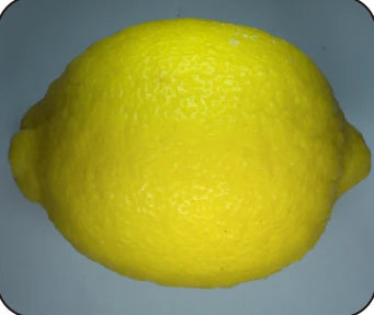 Source white-light lemon capture; its exposure and white balance are not supplied.