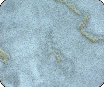 Textured material under the source white-light condition.