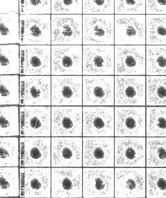 Source1550 nm capture: repeated central dark features stand out in the bright regions.