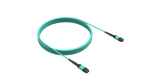 Camera Data Cable, MPO12 Female to MPO12 Female, 3 m (LS-CBL-0027)