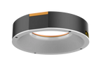 Ring Light, 200 mm dia., White (LS-RNG-0541)