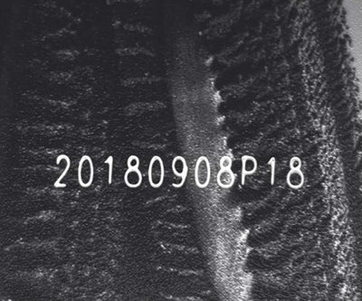 Source capture of corrugated board under a blue bar light: a light-coloured dot-printed date and batch code across the fibre texture and a raised ridge. Complete capture inside the brochure frame, not retouched.