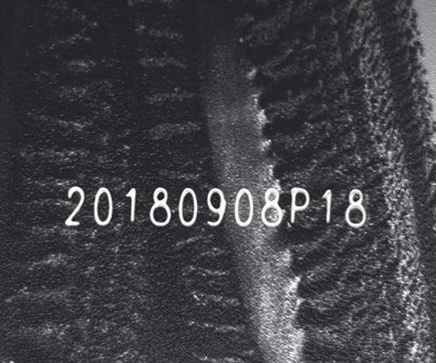 Source capture of corrugated board under a blue bar light: a light-coloured dot-printed date and batch code across the fibre texture and a raised ridge. Complete capture inside the brochure frame, not retouched.