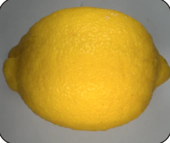 Source natural-light lemon capture, with a different recorded peel appearance.