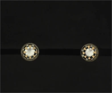 Source white-dome capture: two reflective near-circular terminal end faces are visible against a darker background.