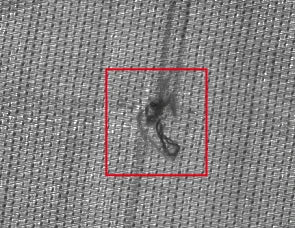 The source camera capture shows the weave and a local raised or loose-fibre feature inside the original red annotation.