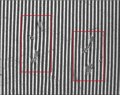 White LS-2LFM100: sharper reflected stripes and clearer local disturbances; red boxes are the original test annotations.
