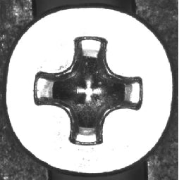 High-angle ring: the head face is bright and the drive recess dark.