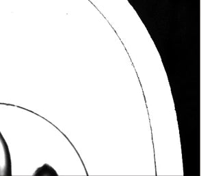 Real source capture of the curved shell region under white coaxial light.