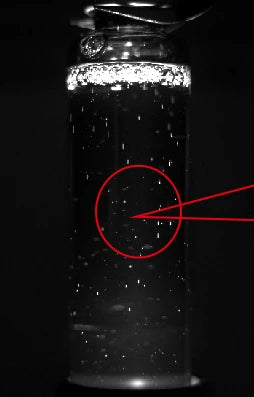Real source vial capture; original red annotation points to small bright features.
